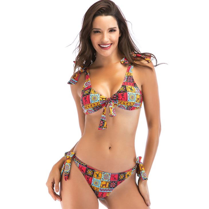 Triangle Print Brazilian Swimwear Bikini