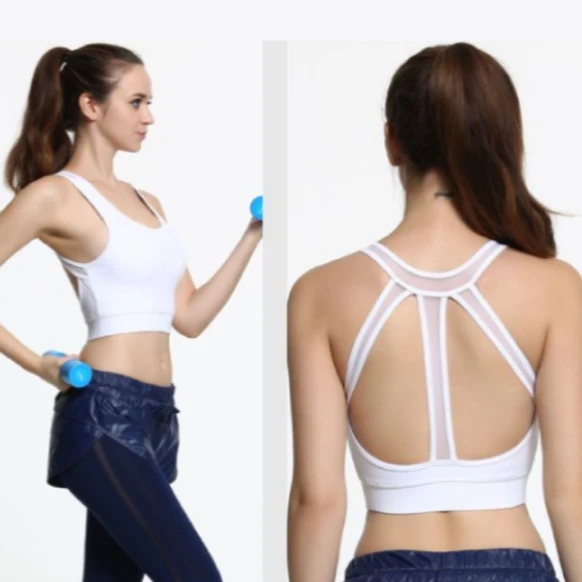 Protect Baseball Sports Bra